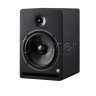Активные студийные мониторы PRODIPE PRO8V3 91716