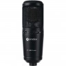 Конденсаторные микрофоны PRODIPE PROST1 ST-1 MK2 Lanen 91717